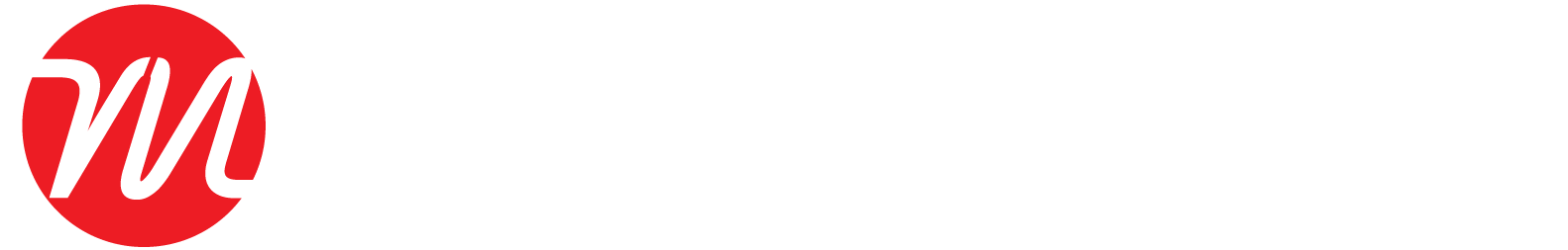 VeloMotor
